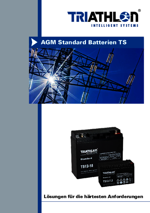 AGM Standard (TS) Batterien